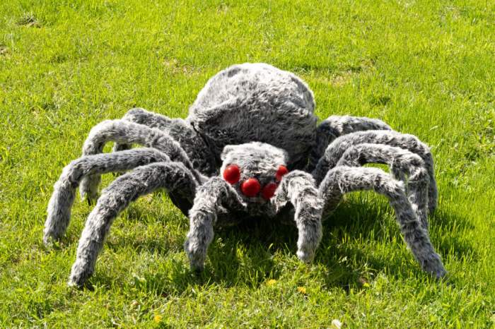 How to make a giant spider decoration