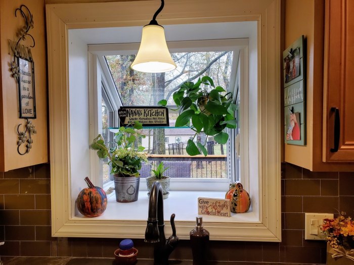 How to decorate a garden window